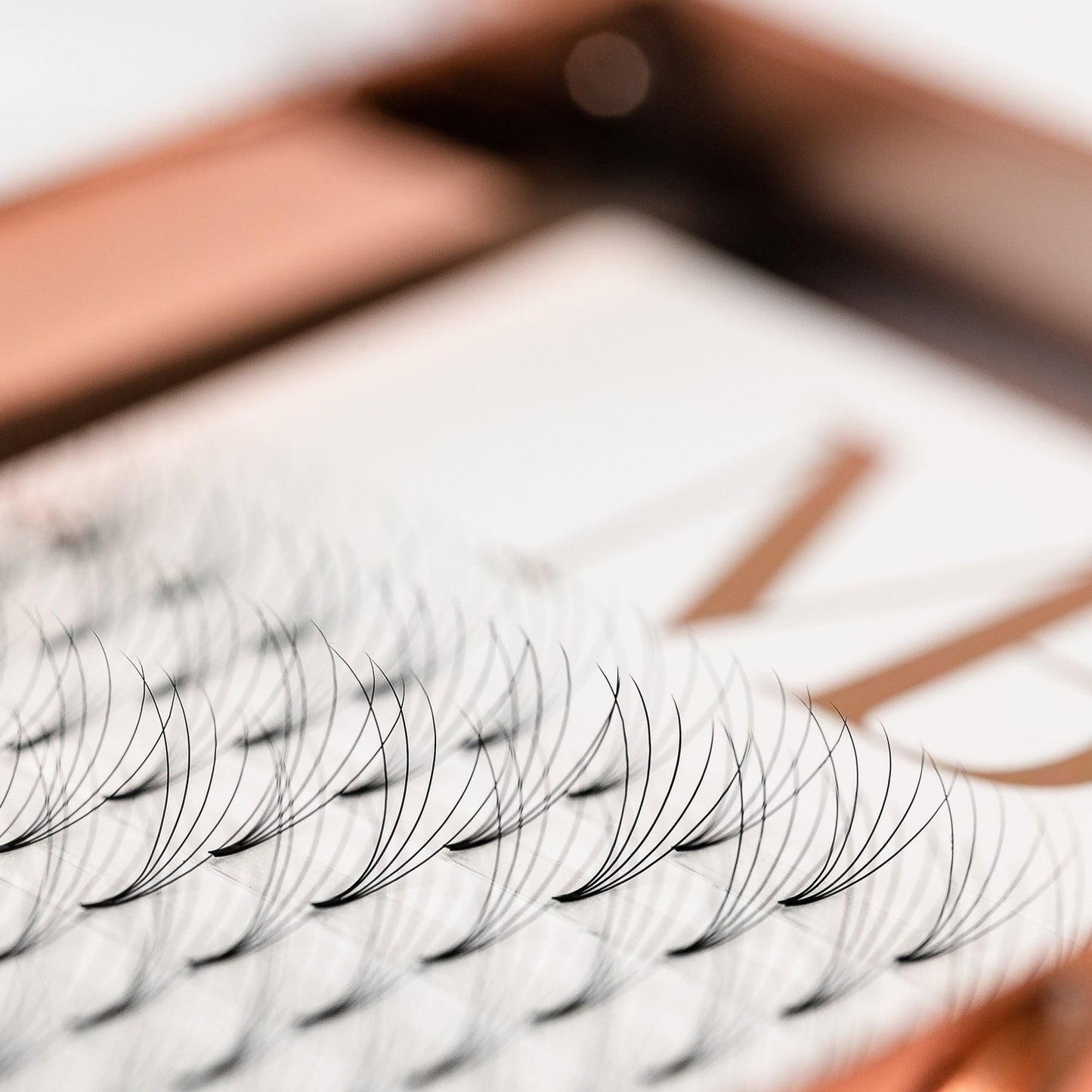 5D Pre-Made Fans D Curl