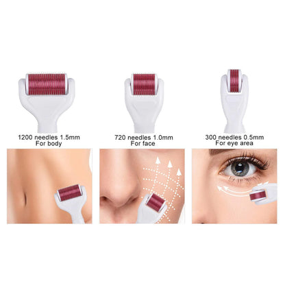 4 In 1 Derma Roller