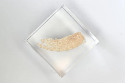 Henna Brow Scrub
