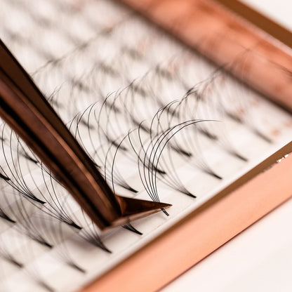 5D Pre-Made Fans D Curl